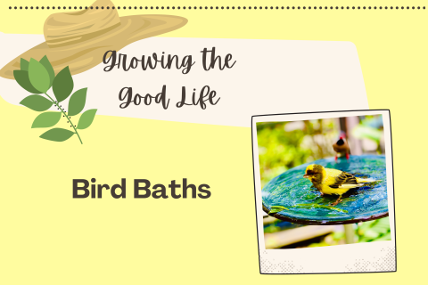 Bird Baths