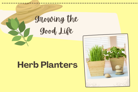 Herb Planters