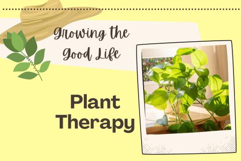 GTGL Plant Therapy