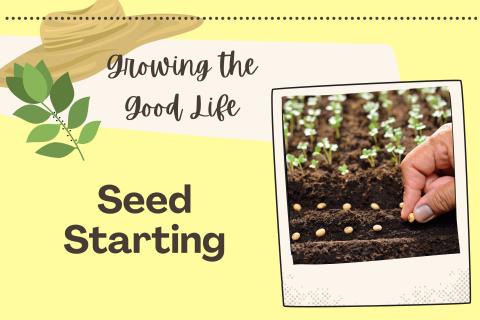 Seed Starting